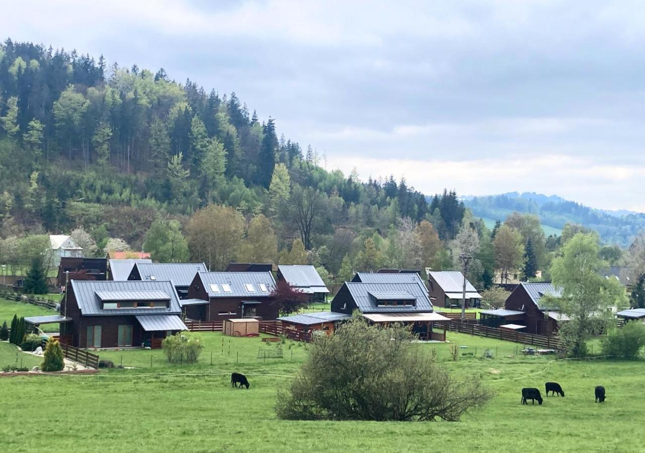Apartman Na Valassku Horní Bečva 外观 照片